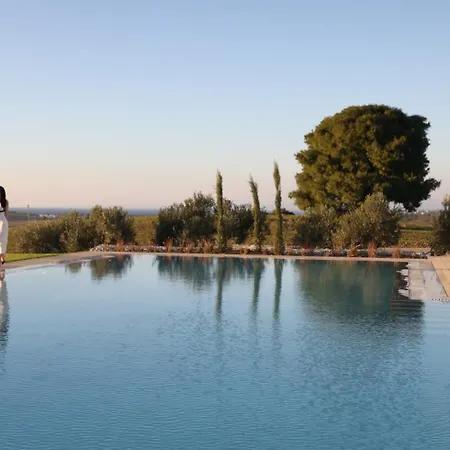 Sani Chateau Sani (Chalkidiki)
